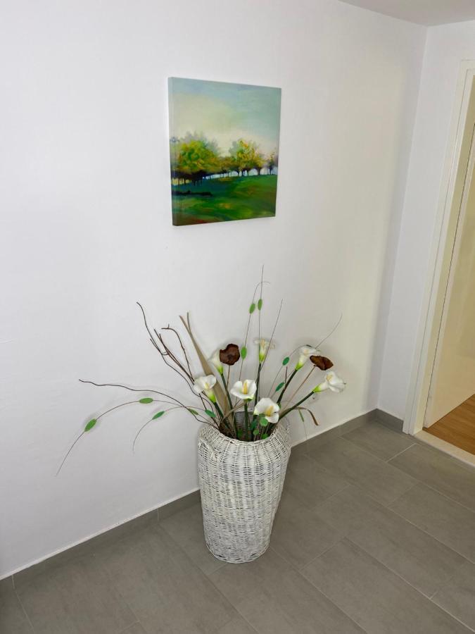 Apartment Carmen โตรกีร์ ภายนอก รูปภาพ